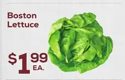DeCicco & Sons Boston Lettuce offer