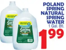 Bravo Supermarkets POLAND SPRING NATURAL SPRING WATER offer