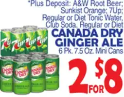 Bravo Supermarkets CANADA DRY GINGER ALE offer