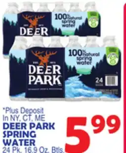 Bravo Supermarkets DEER PARK SPRING WATER offer