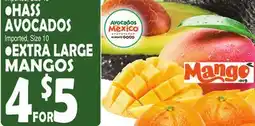 Bravo Supermarkets HASS AVOCADOS, EXTRA LARGE MANGOS offer