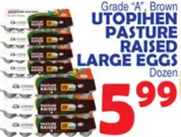 Bravo Supermarkets UTOPIHEN PASTURE RAISED LARGE EGGS offer