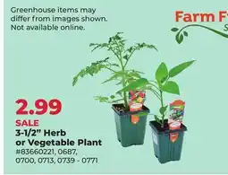 Runnings Farm Fresh 3-1/2 Herb or Vegetable Plant offer