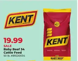Runnings Kent Baby Beef 34 Cattle Feed offer
