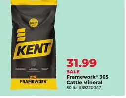 Runnings Framework 365 Cattle Mineral offer