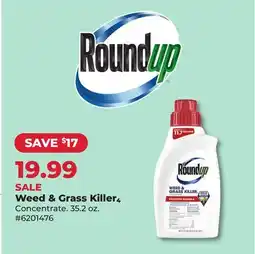 Runnings Roundup Weed & Grass Killer₄ Concentrate offer