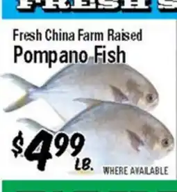 Western Beef Fresh China Farm Raised Pompano Fish offer