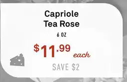 Standard Market Capriole Tea Rose offer
