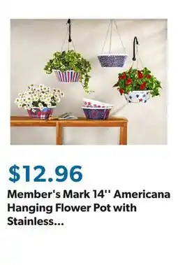 Sam's Club Member's Mark 14'' Americana Hanging Flower Pot with Stainless Steel Chain offer