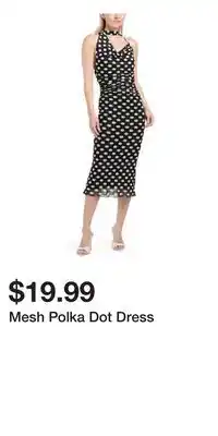 TJ Maxx Mesh Polka Dot Dress offer