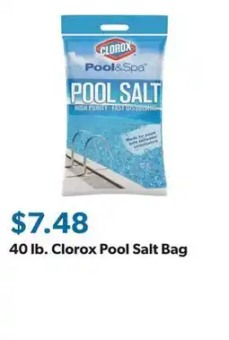 Sam's Club 40 lb. Clorox Pool Salt Bag offer