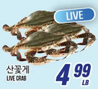 Joong Boo Market LIVE CRAB offer