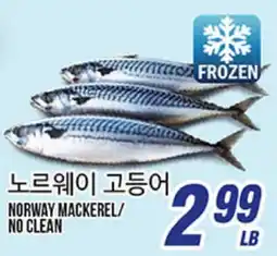 Joong Boo Market NOREWAY MACKEREL offer
