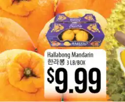 Hmart Hallabong Mandarin offer