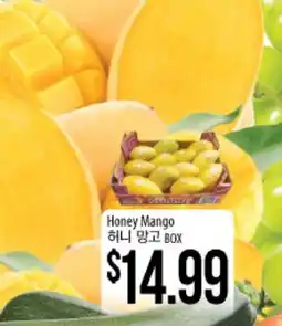 Hmart Honey Mango offer