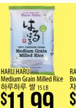Hmart HARU HARU Medium Grain Milled Rice offer