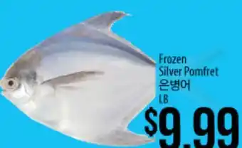 Hmart Frozen Silver Pomfret offer