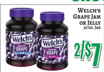 Trade Fair Supermarket Welch's Grape Jam or Jelly offer