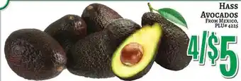 Trade Fair Supermarket HASS Avocados offer