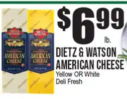 Extra Supermarket DIEBT & WATSON AMERICAN CHEESE offer
