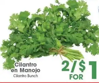 Arteagas Food Center Cilantro Bunch offer