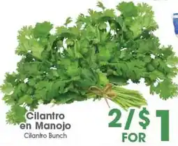 Arteagas Food Center Cilantro Bunch offer