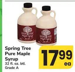 ACME Spring Tree Pure Maple Syrup offer