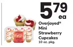 ACME Mini Strawberry Cupcakes offer