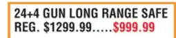 Dunham's Sports 24 + 4 GUN LONG RANGE SAFE offer