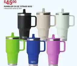 Dunham's Sports RAMBLER 30 OZ. STRAW MUG offer