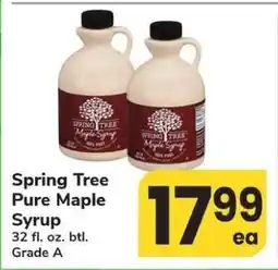 Safeway Spring Tree Pure Maple Syrup offer