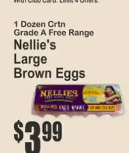 Key Food 1 Dozen Crtn Grade A Free Range Nellie's Large Brown Eggs offer