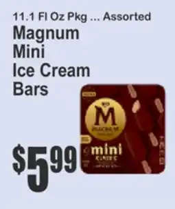 Key Food 11.1 FL Oz Pkg ... Assorted Magnum Mini Ice Cream Bars offer