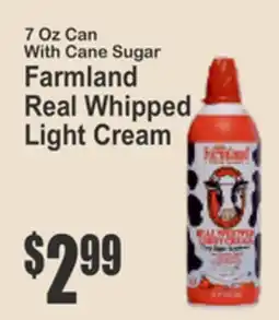 Key Food Farmland Real Whipped Light Cream offer
