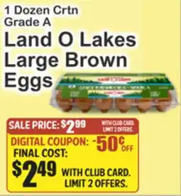 Almonte's Food Dynasty Marketplace 1 Dozen Crtn Grade A Land O Lakes Large Brown Eggs offer