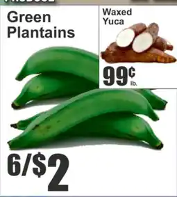 Almonte's Food Dynasty Marketplace Green Plantains offer
