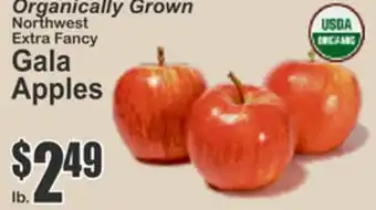 Almonte's Food Dynasty Marketplace Organically Grown Northwest Extra Fancy Gala Apples offer