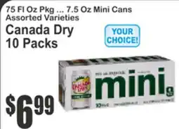 Almonte's Food Dynasty Marketplace Canada Dry offer