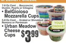 Almonte's Food Dynasty Marketplace • BelGioioso Mozzarella Cups • Urban Meadow Cheese Cups offer