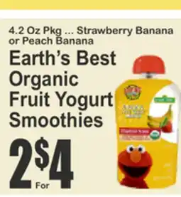 Food Universe Earth's Best Organic Fruit Yogurt Smoothies offer