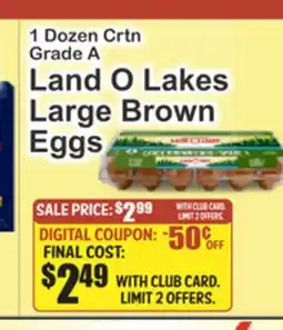Food Universe 1 Dozen Crtn Grade A Land O Lakes Large Brown Eggs offer