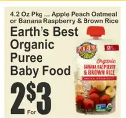 Food Universe Earth's Best Organic Puree Baby Food offer