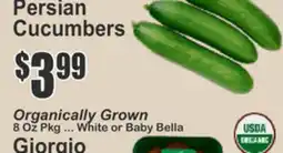 Food Universe Persian Cucumbers offer