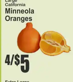 Food Universe Large California Minneola Oranges offer