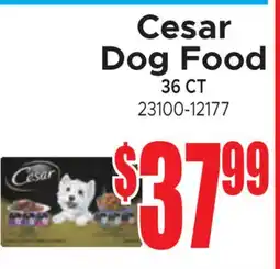 Jetro Cesar Dog Food offer