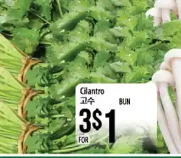 Hmart Cilantro offer