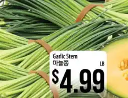 Hmart Garlic Stem offer