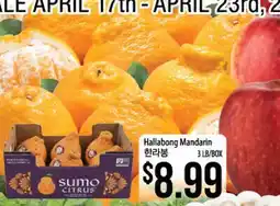 Hmart Hallabong Mandarin offer