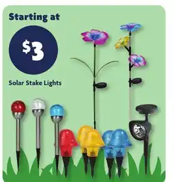 Family Dollar Solar Stake Lights offer