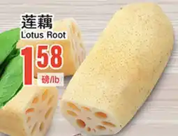 Great Wall Supermarket Lotus Root offer